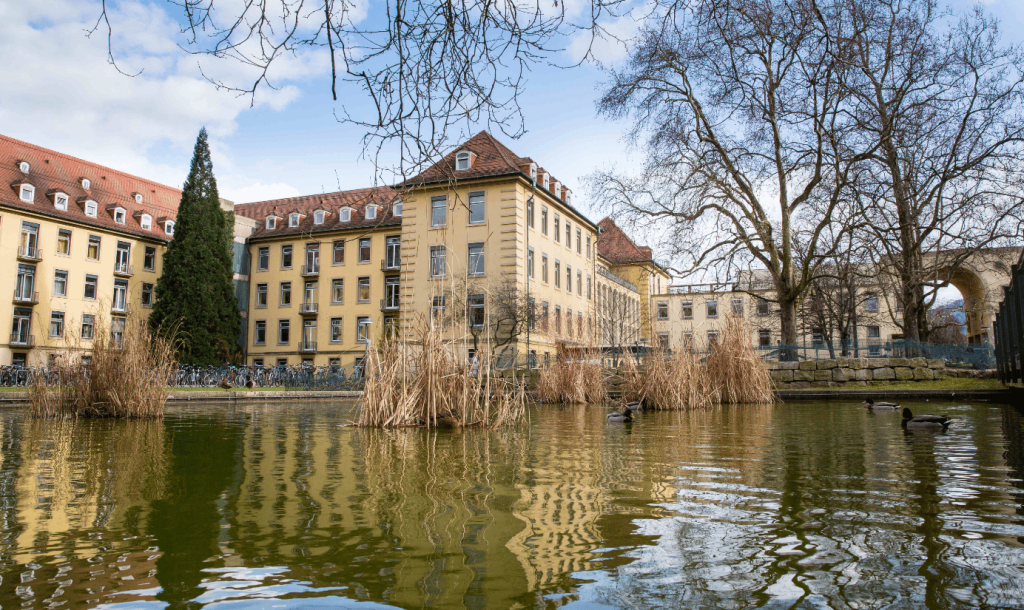 This image displays: A picturesque pond bordered by trees, with the university medical center buildings in the background.